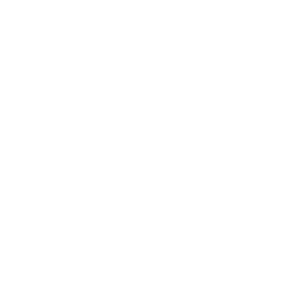 S A S A N A